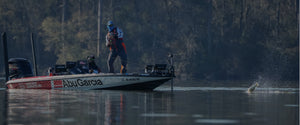 MLF Redcrest 2025